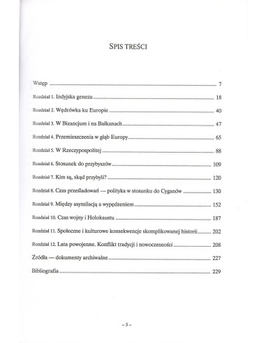 Od Cyganów do Romów. Z Indii do Unii Europejskiej, Lech Mróz