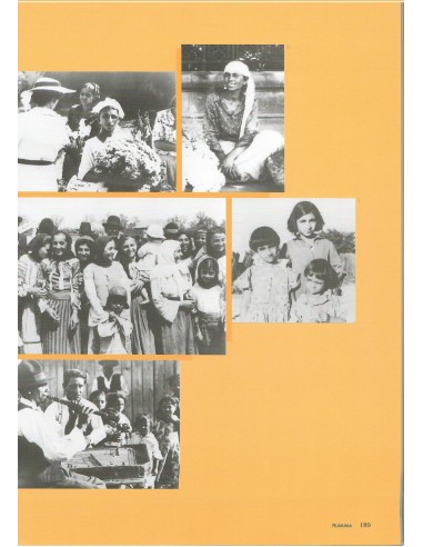 Zagłada Sinti i Romów, Romani Rose